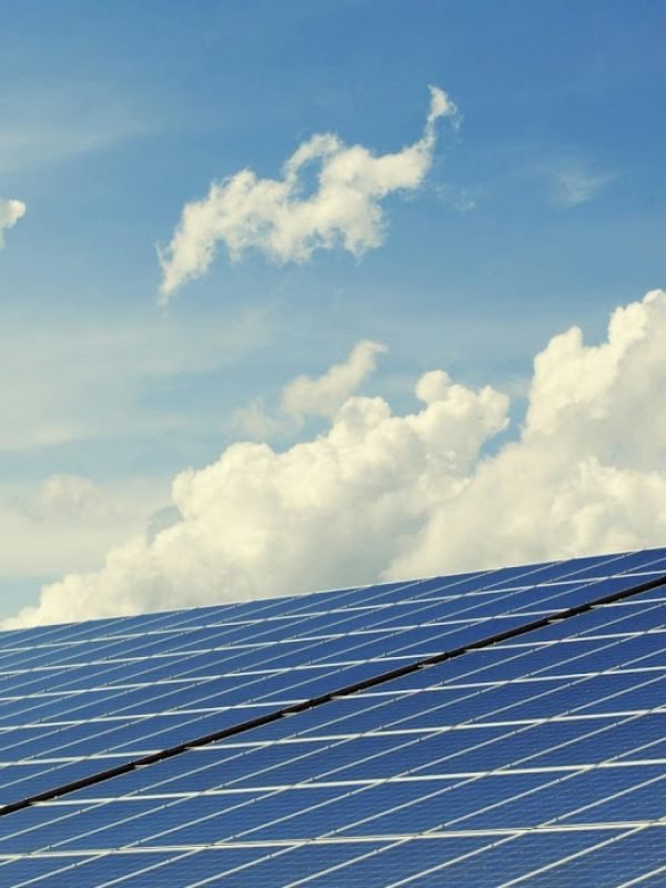 pexels-pixabay-356036